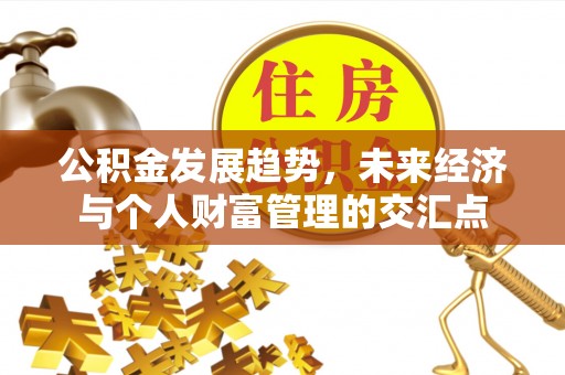 石排公积金发展趋势，未来经济与个人财富管理的交汇点