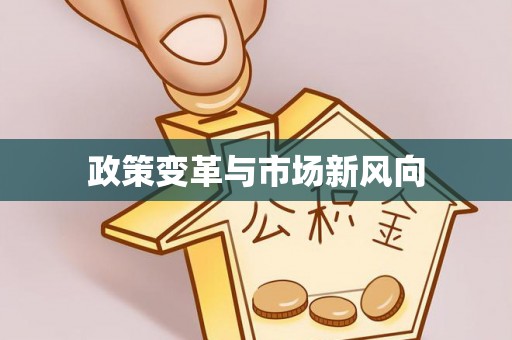 石排政策变革与市场新风向