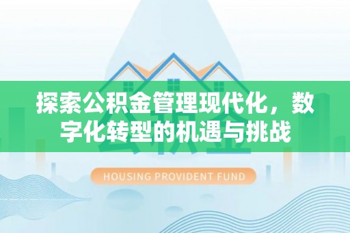 石排探索公积金管理现代化，数字化转型的机遇与挑战