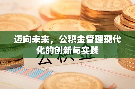 石排迈向未来，公积金管理现代化的创新与实践