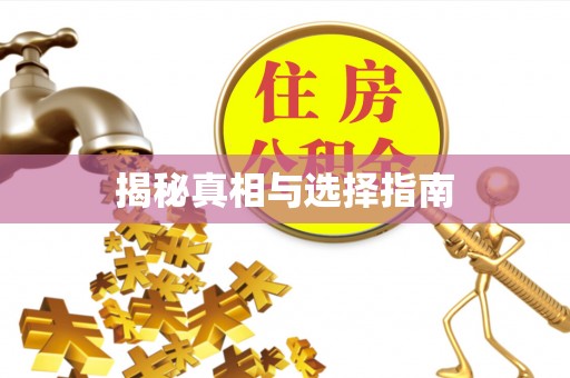 石排揭秘真相与选择指南