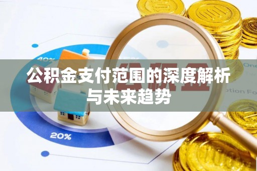 石排公积金支付范围的深度解析与未来趋势