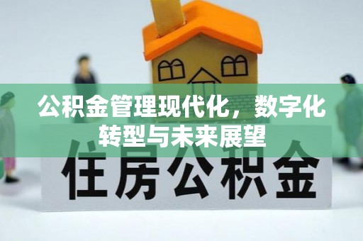 石排公积金管理现代化，数字化转型与未来展望