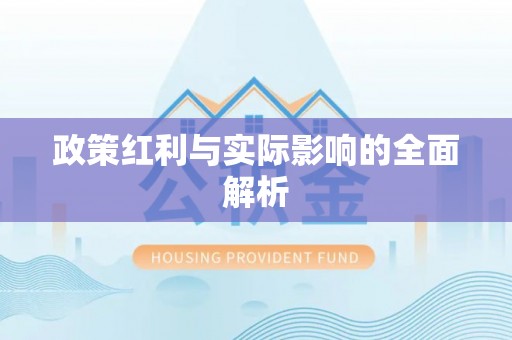 石排政策红利与实际影响的全面解析