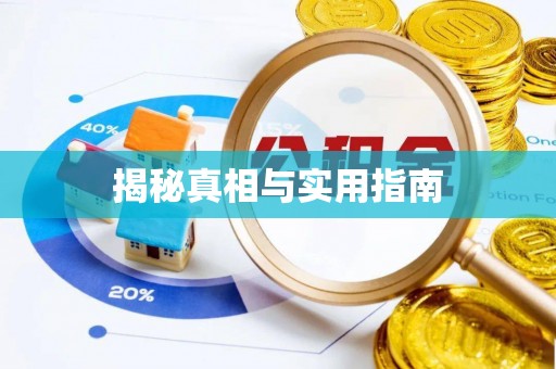 石排揭秘真相与实用指南