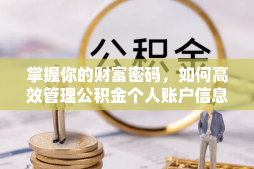 石排掌握你的财富密码，如何高效管理公积金个人账户信息