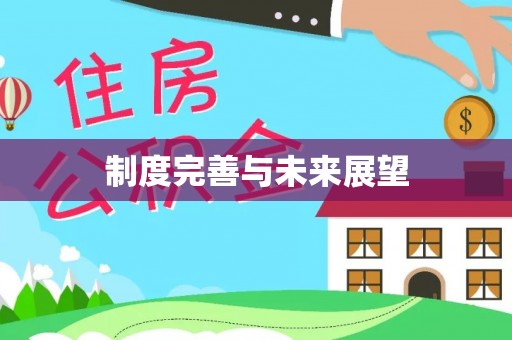 石排制度完善与未来展望