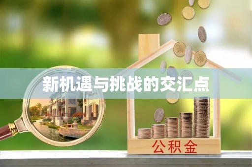 石排新机遇与挑战的交汇点