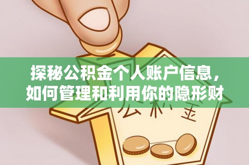 石排探秘公积金个人账户信息，如何管理和利用你的隐形财富