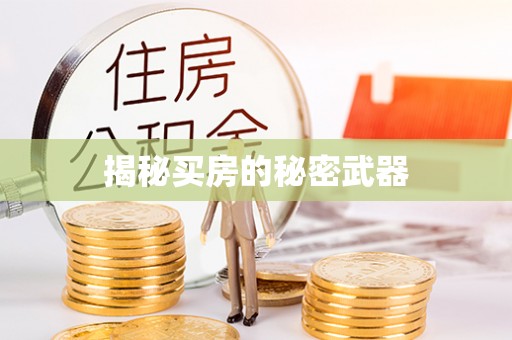 石排揭秘买房的秘密武器