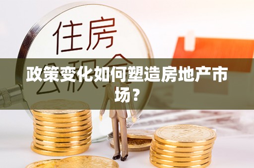 石排政策变化如何塑造房地产市场？