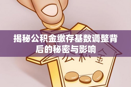 石排揭秘公积金缴存基数调整背后的秘密与影响