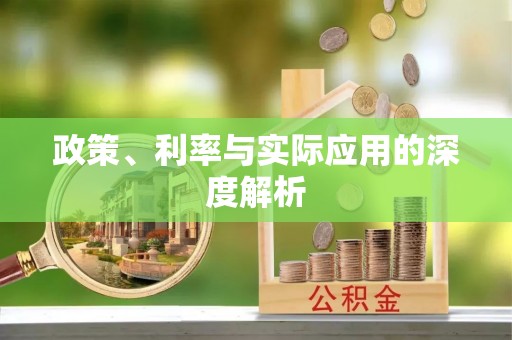 石排政策、利率与实际应用的深度解析