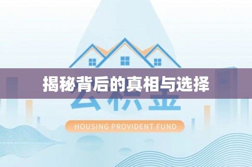 石排揭秘背后的真相与选择