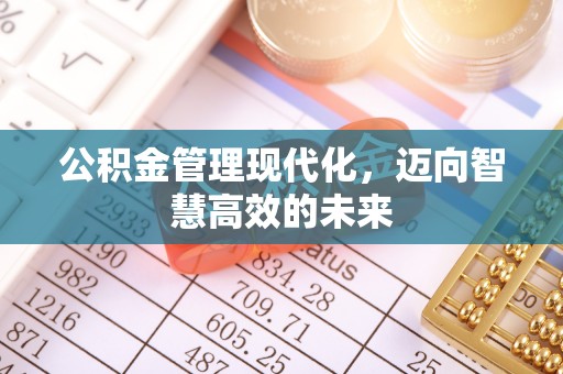 石排公积金管理现代化，迈向智慧高效的未来
