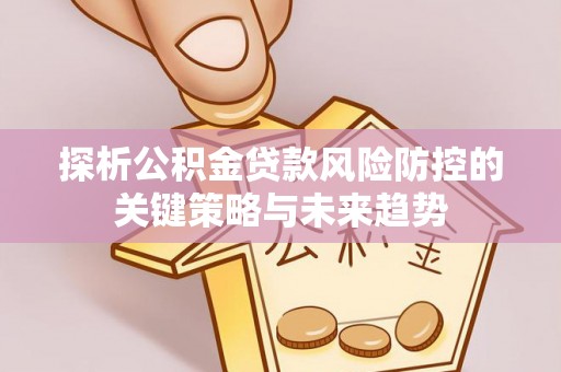 石排探析公积金贷款风险防控的关键策略与未来趋势