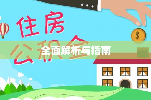 石排全面解析与指南