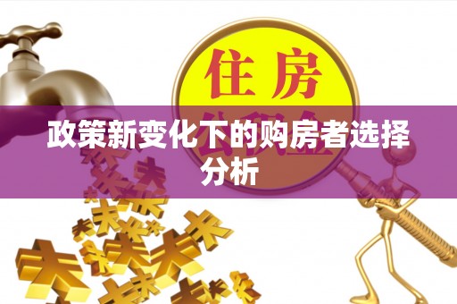 石排政策新变化下的购房者选择分析