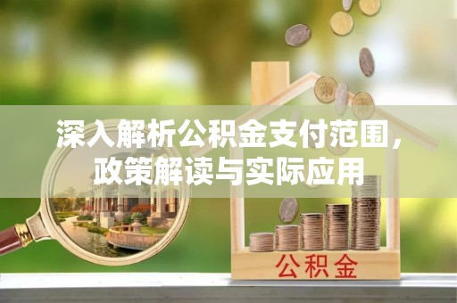 石排深入解析公积金支付范围，政策解读与实际应用