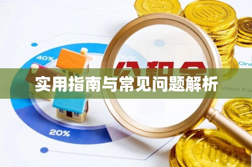 石排实用指南与常见问题解析