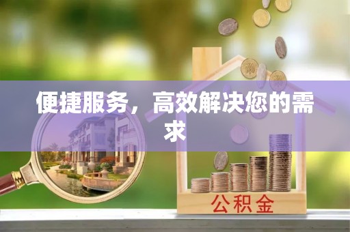 石排便捷服务，高效解决您的需求
