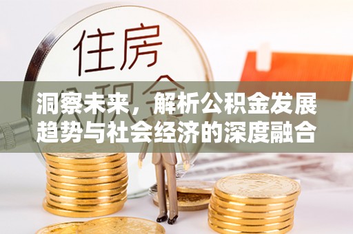 石排洞察未来，解析公积金发展趋势与社会经济的深度融合