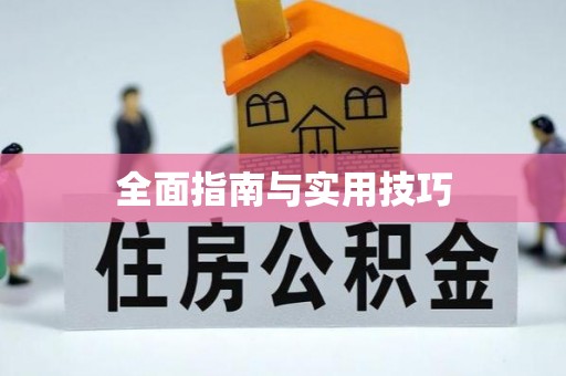 石排全面指南与实用技巧