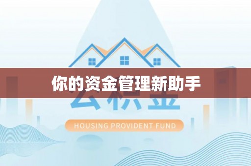 石排你的资金管理新助手
