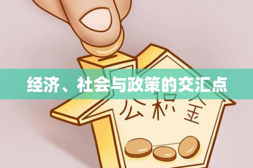 石排经济、社会与政策的交汇点
