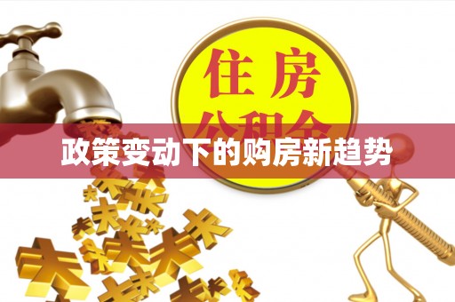 石排政策变动下的购房新趋势