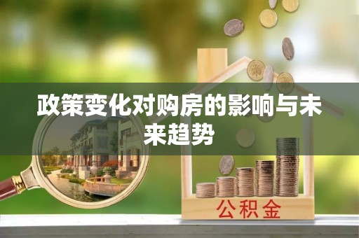 石排政策变化对购房的影响与未来趋势