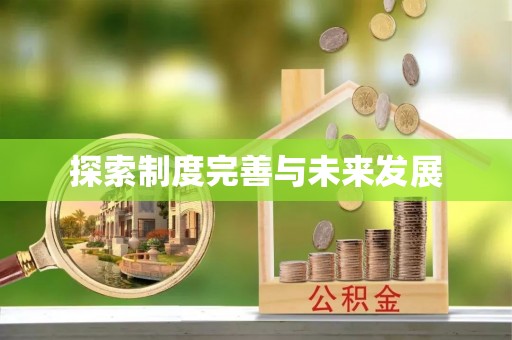 石排探索制度完善与未来发展