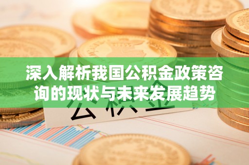石排深入解析我国公积金政策咨询的现状与未来发展趋势