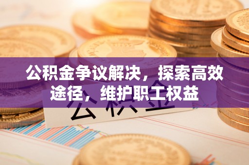 石排公积金争议解决，探索高效途径，维护职工权益