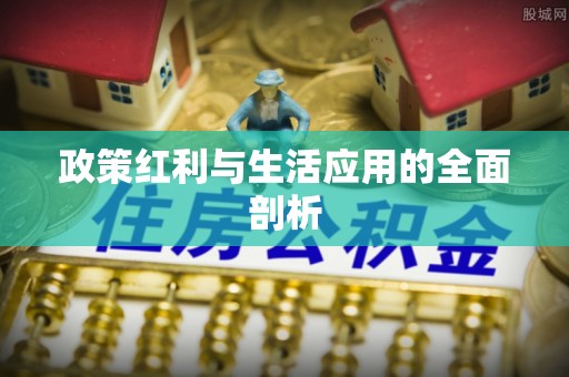 石排政策红利与生活应用的全面剖析