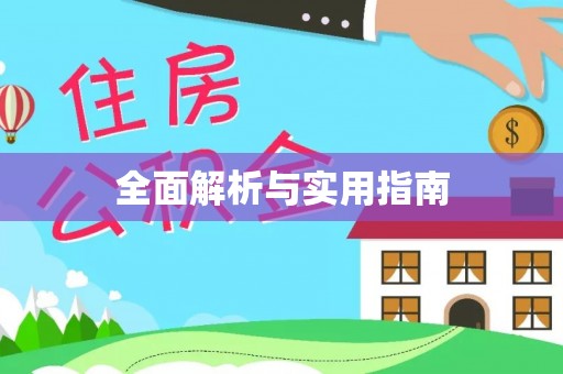 石排全面解析与实用指南