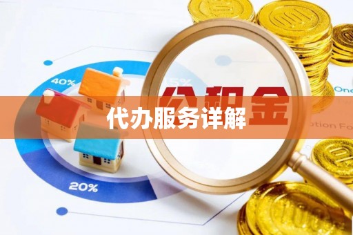 石排代办服务详解