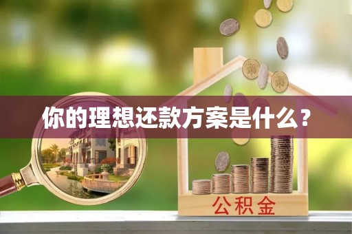 石排你的理想还款方案是什么？
