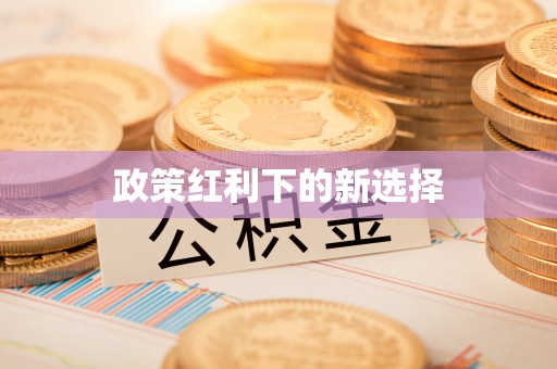 石排政策红利下的新选择