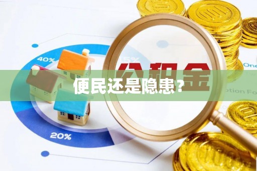 石排便民还是隐患？