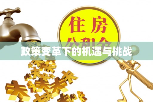 石排政策变革下的机遇与挑战