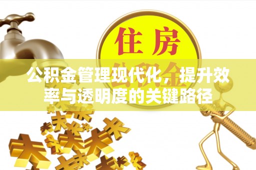 石排公积金管理现代化，提升效率与透明度的关键路径