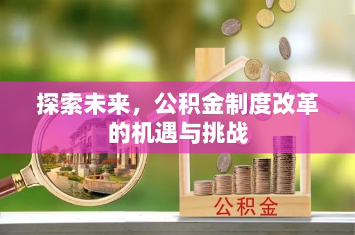 石排探索未来，公积金制度改革的机遇与挑战