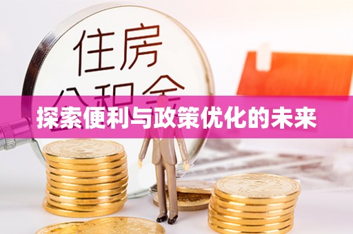 石排探索便利与政策优化的未来