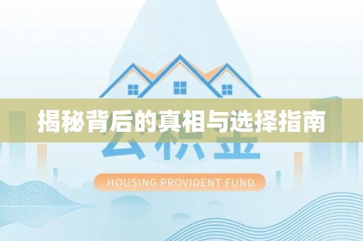 石排揭秘背后的真相与选择指南