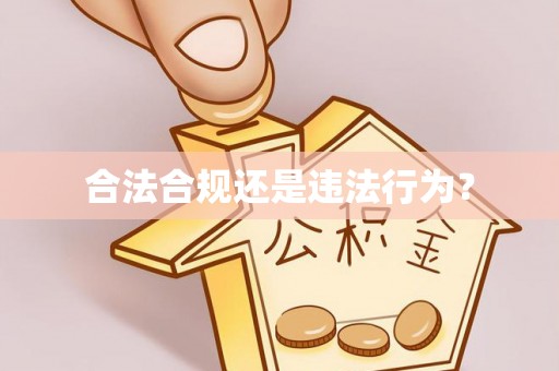 石排合法合规还是违法行为？