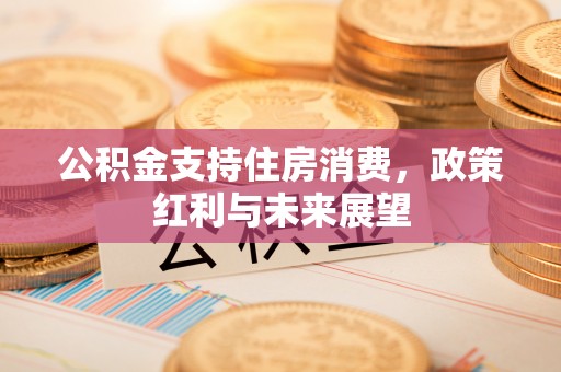 石排公积金支持住房消费，政策红利与未来展望