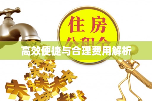 石排高效便捷与合理费用解析