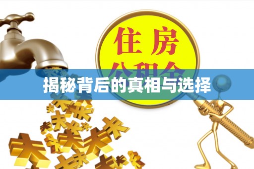 石排揭秘背后的真相与选择