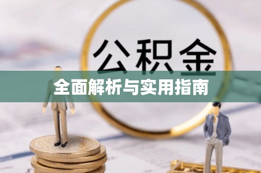 石排全面解析与实用指南